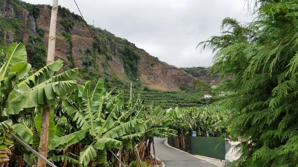 Banana House Hotel Ponta do Sol  Exterior photo