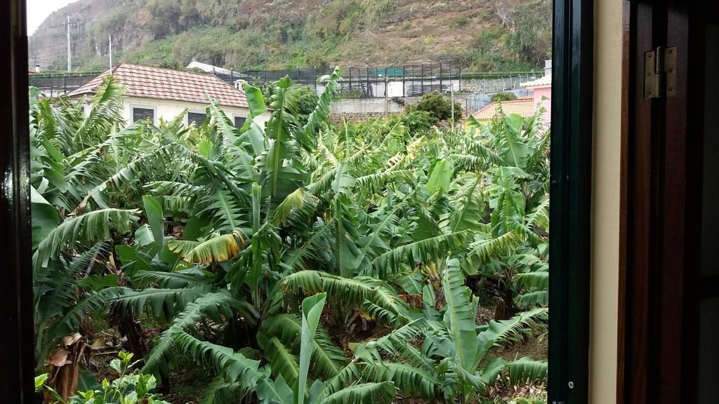 Banana House Hotel Ponta do Sol  Exterior photo