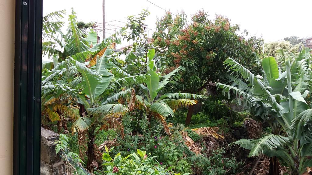 Banana House Hotel Ponta do Sol  Exterior photo